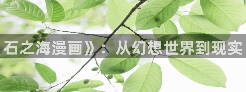 yy漫画在线阅读免费：石之海漫画》：从幻想世界到现实