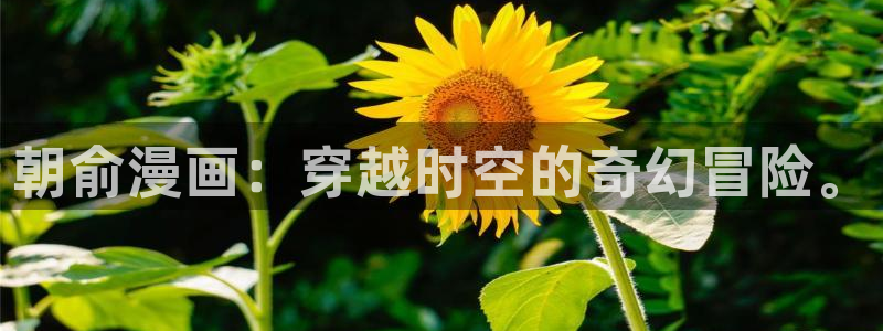 yy漫画大全：朝俞漫画：穿越时空的奇幻冒险。