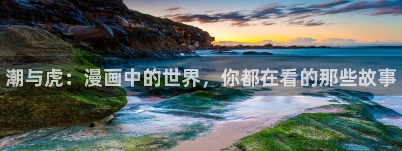 yy漫画登录不了怎么办：潮与虎：漫画中的世界，你都在看的那些故事